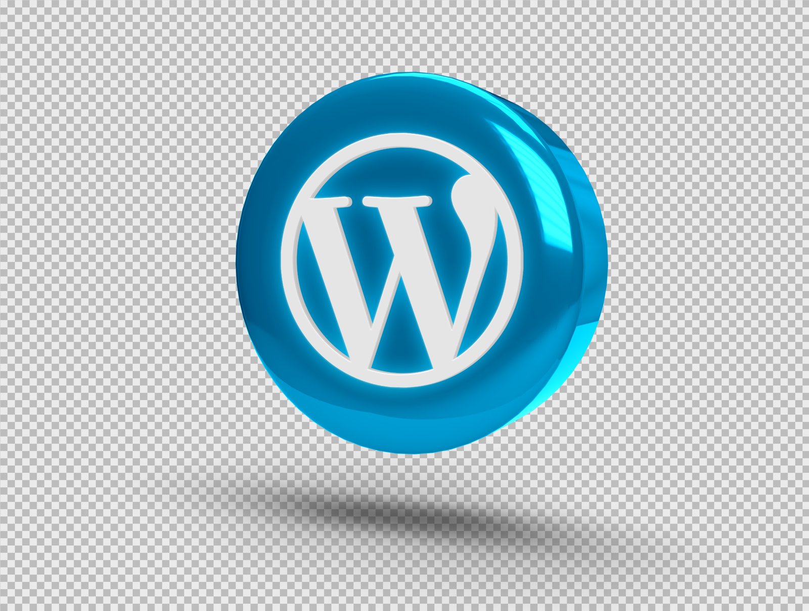 Wordpress websites